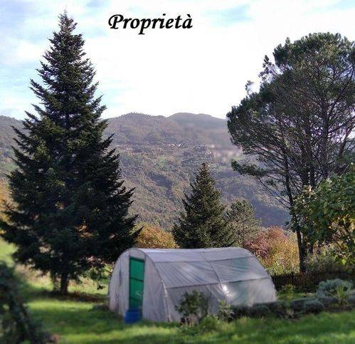 Villa a Roccastrada - Foto 4