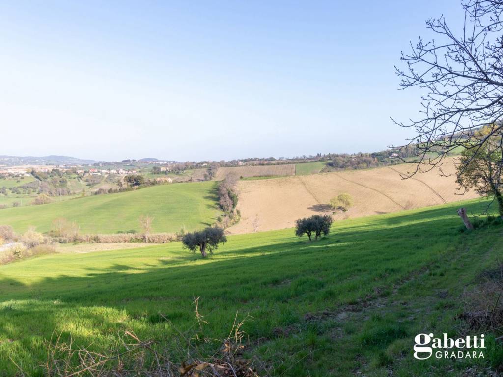 Terreno a Gradara in Via Tavullia, snc - Foto 3