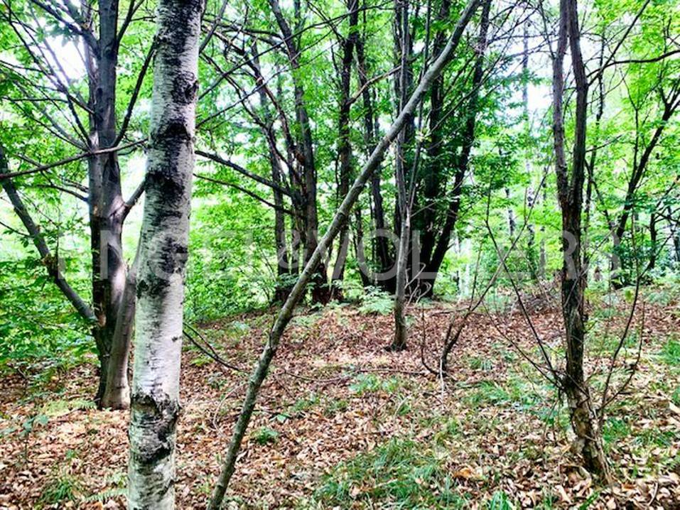 Terreno a Brovello-carpugnino in Via Circonvallazione - Foto 4