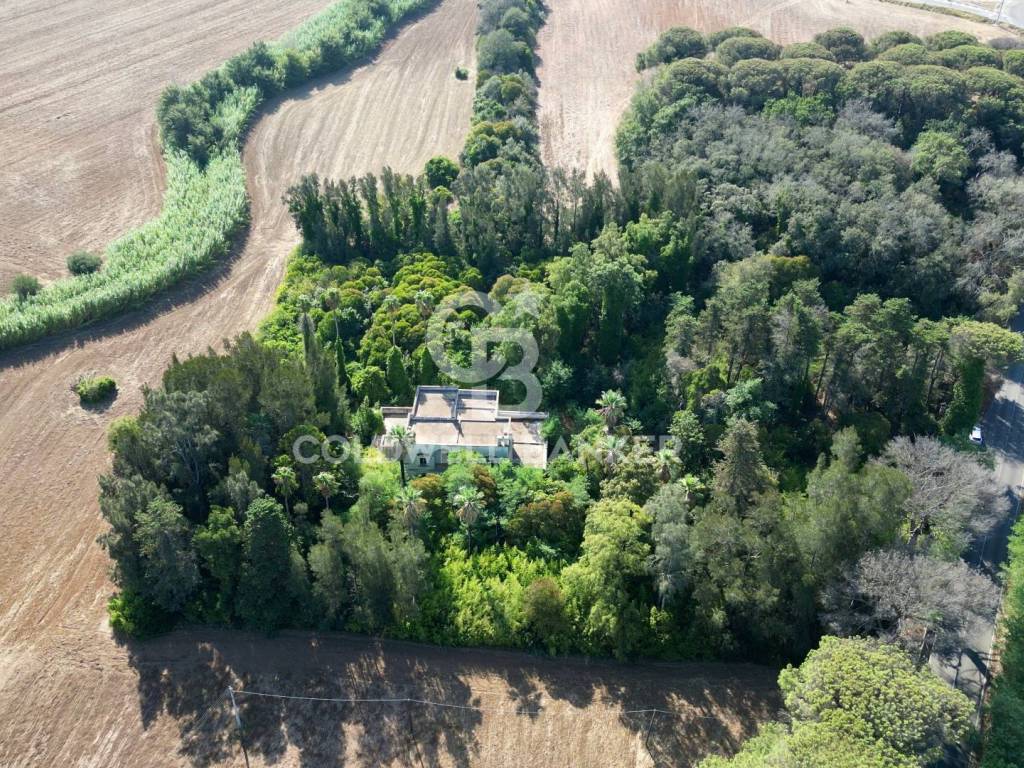 Rustico / casale a Cutrofiano in Contrada Petri - Foto 5