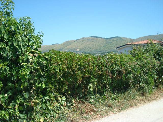 Terreno a Fara in sabina in Via Giovanni Tinto - Foto 3