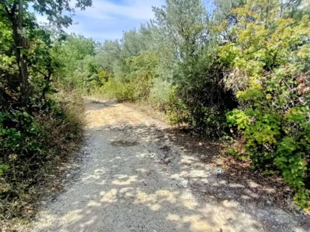 Terreno a Miglianico in Località Montupoli - Foto 4