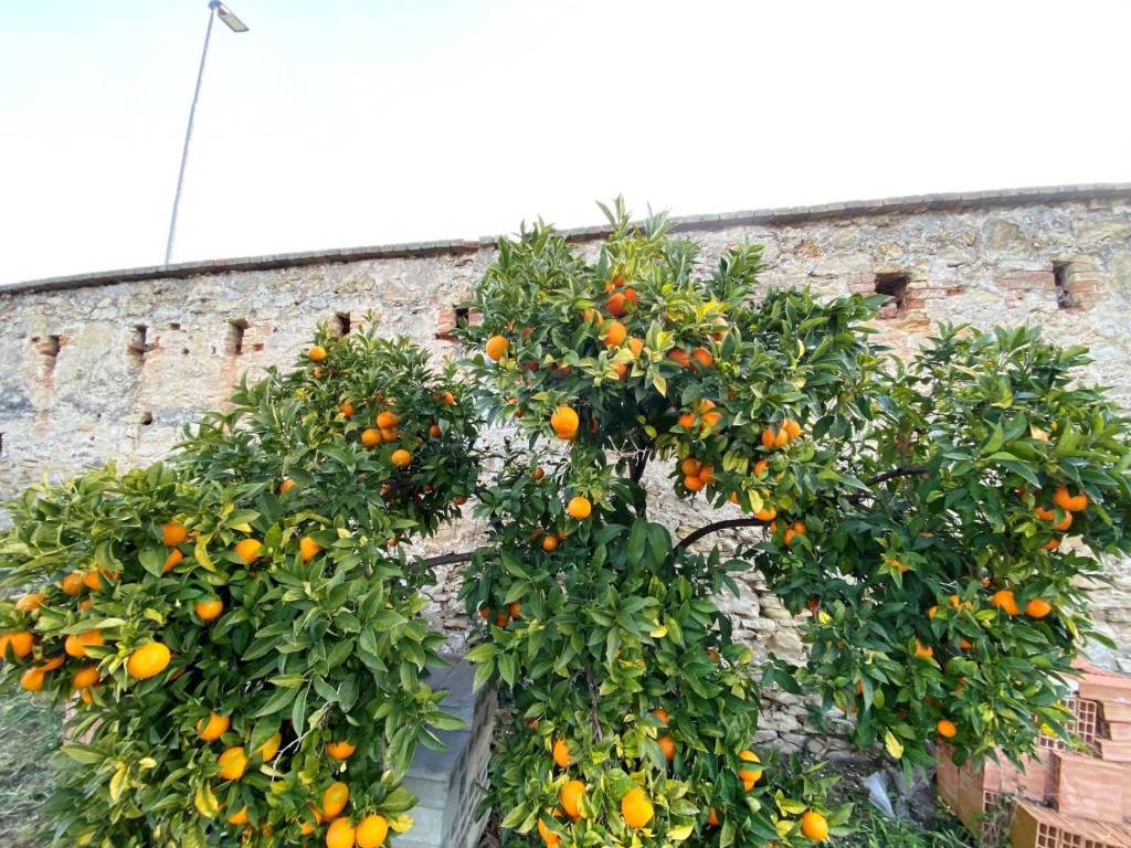 Villa a Fermo in Contrada Marina Palmense - Foto 5