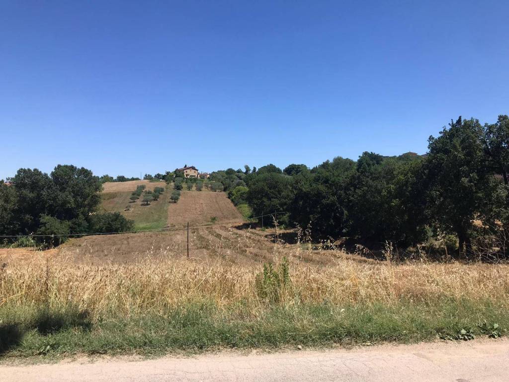 Terreno a Sant'angelo a cupolo in Strada Provinciale Perrillo-Mota-Strada Statale 88 - Foto 2