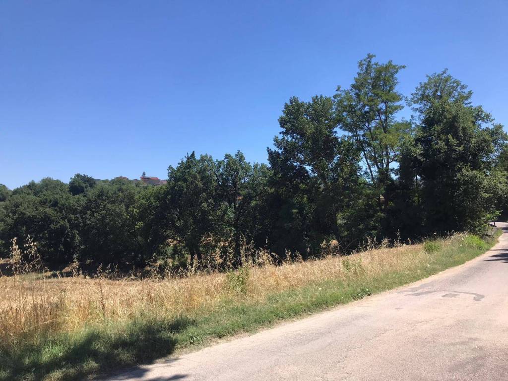 Terreno a Sant'angelo a cupolo in Strada Provinciale Perrillo-Mota-Strada Statale 88 - Foto 3