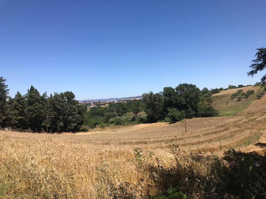 Terreno a Sant'angelo a cupolo in Strada Provinciale Perrillo-Mota-Strada Statale 88 - Foto 4