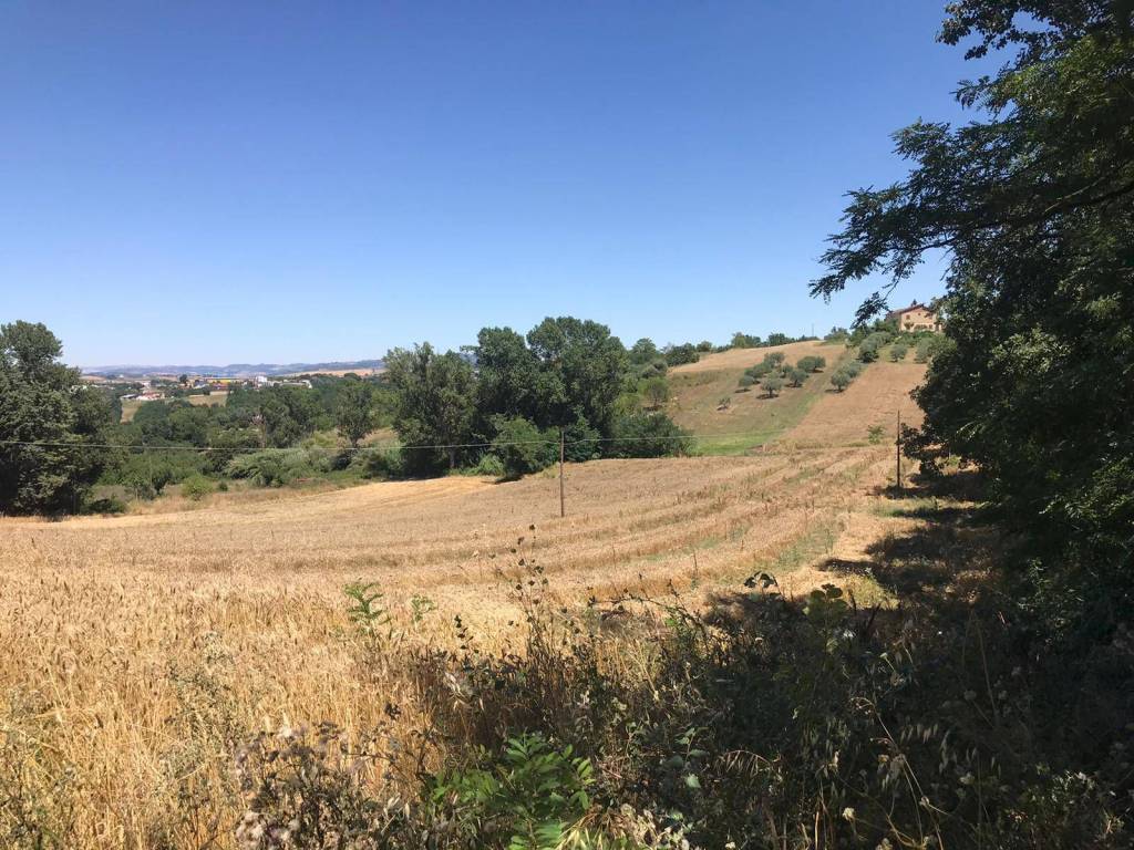Terreno a Sant'angelo a cupolo in Strada Provinciale Perrillo-Mota-Strada Statale 88 - Foto 5
