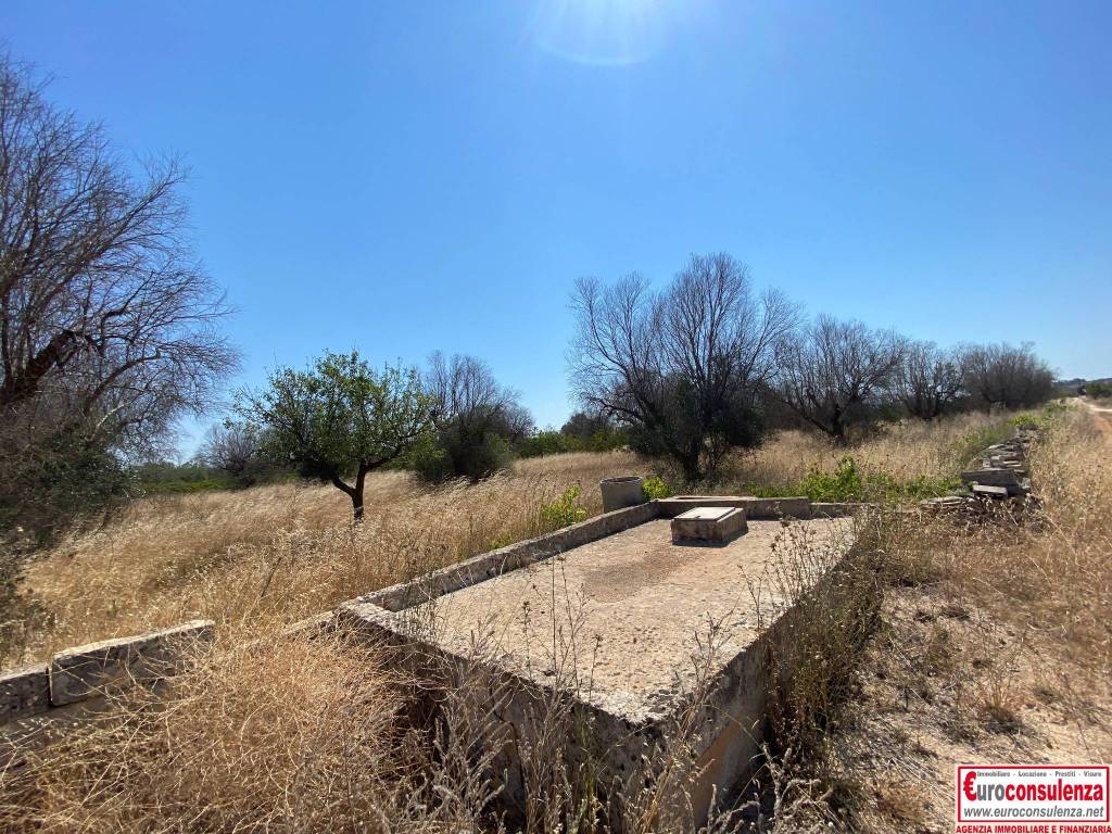 Terreno a Ugento in SP332 - Foto 4