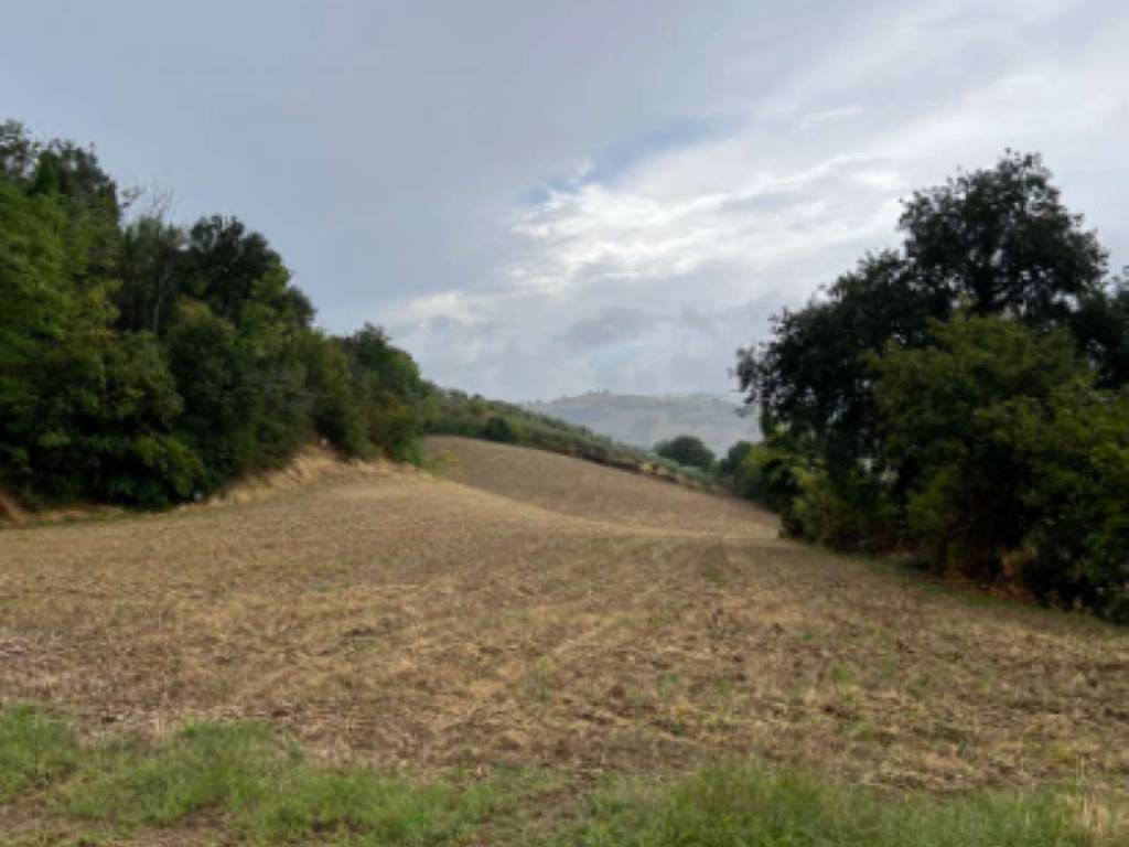 Terreno a Monteleone di fermo in contrada Valle Corvone - Foto 2