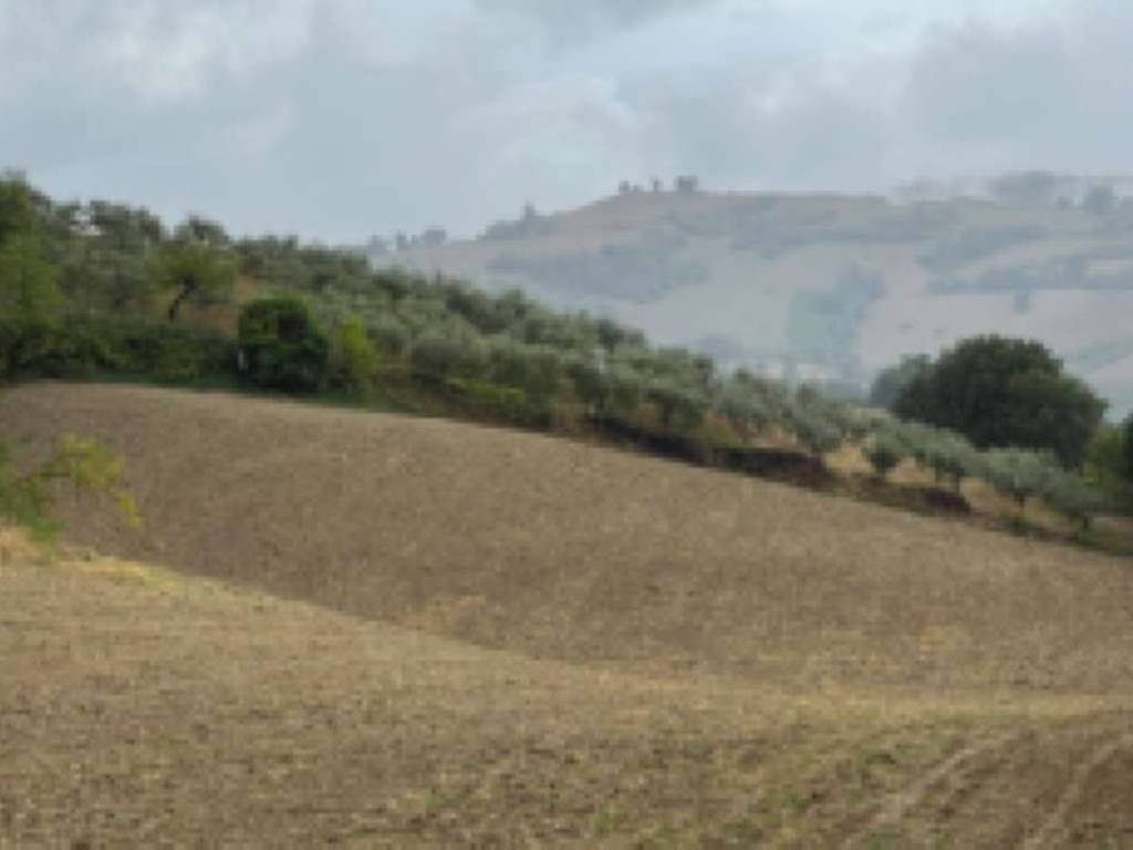 Terreno a Monteleone di fermo in contrada Valle Corvone - Foto 4