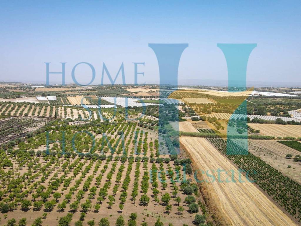 Terreno a Noto in Via Tommaso Fazello, 228 - Foto 2