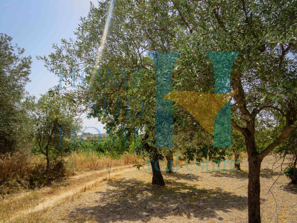 Terreno a Noto in Via Tommaso Fazello, 228 - Foto 3