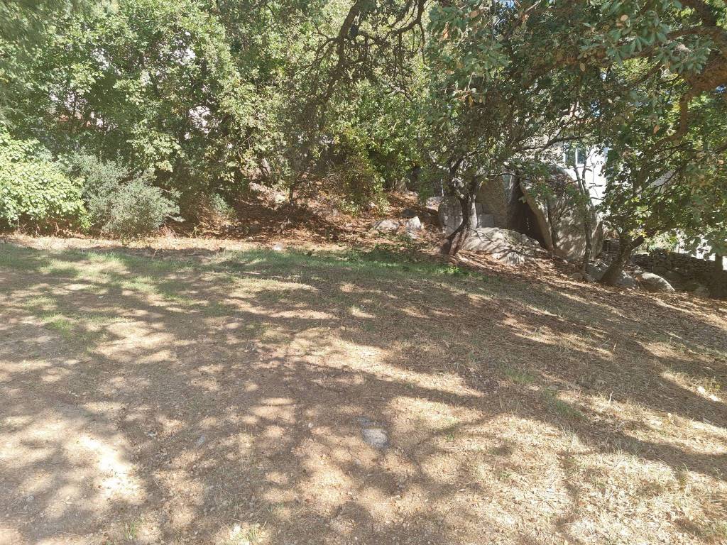 Terreno a Aggius in Via Monti di Bò, 14 - Foto 5