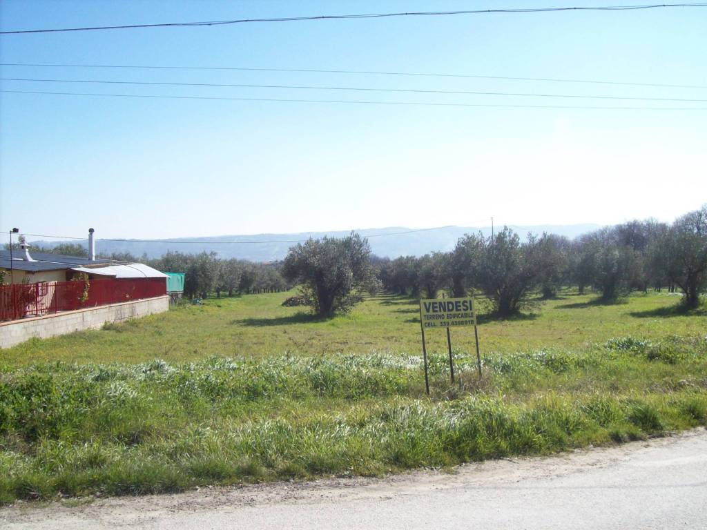Terreno a Mozzagrogna in Contrada Lucianetti - Foto 3