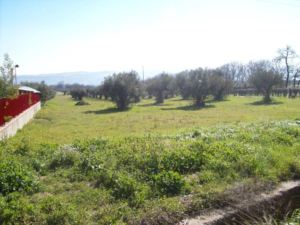 Terreno a Mozzagrogna in Contrada Lucianetti - Foto 4