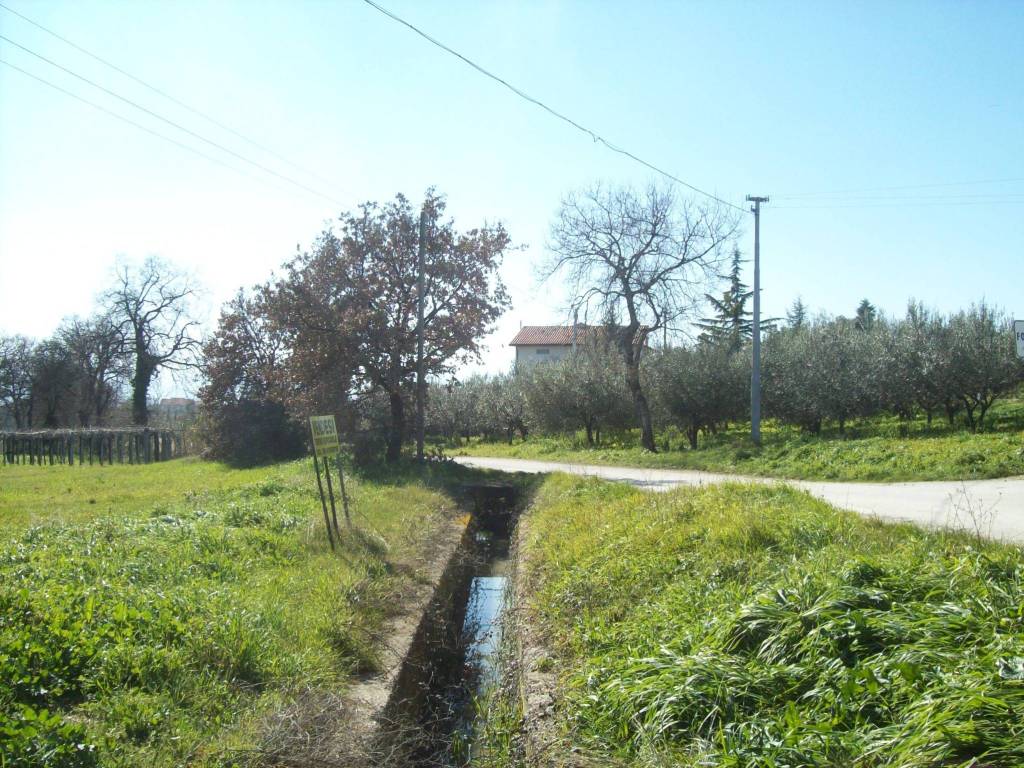 Terreno a Mozzagrogna in Contrada Lucianetti - Foto 5