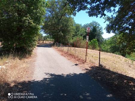 Terreno a Mozzagrogna in Via del Boschetto - Foto 2
