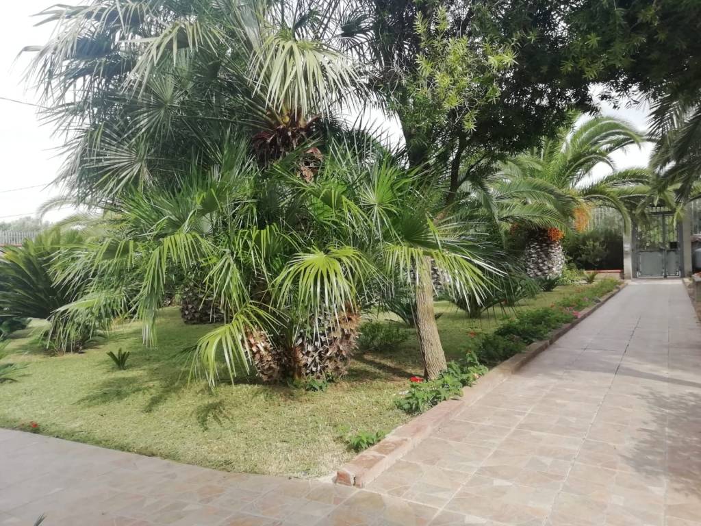 Villa a Donori - Foto 4