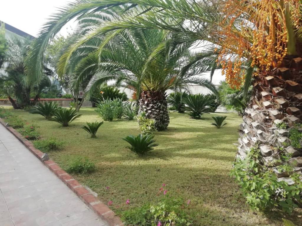 Villa a Donori - Foto 5