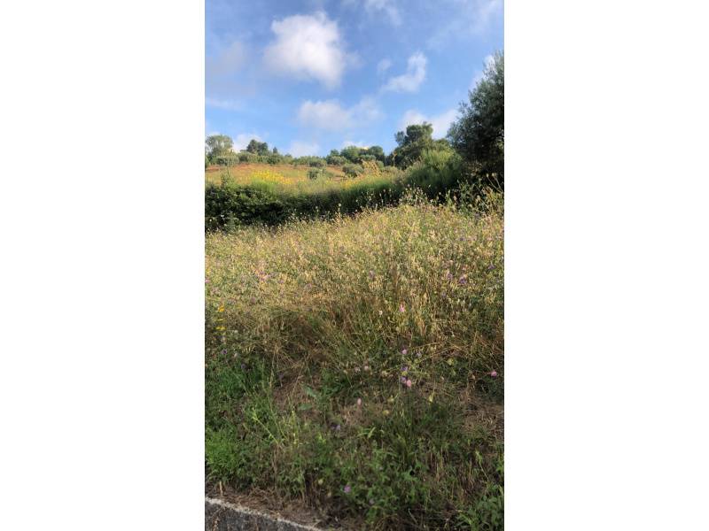 Terreno a Perdifumo in SP15b - Foto 2