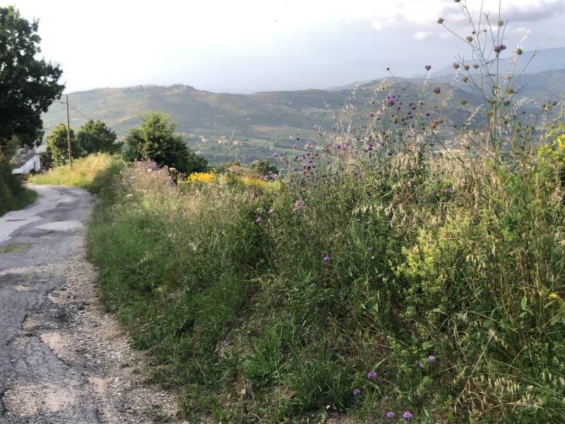 Terreno a Perdifumo in SP15b - Foto 3