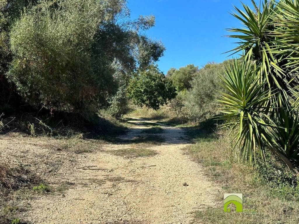 Terreno a Avola in Strada Provinciale Avola Bochini Noto - Foto 2