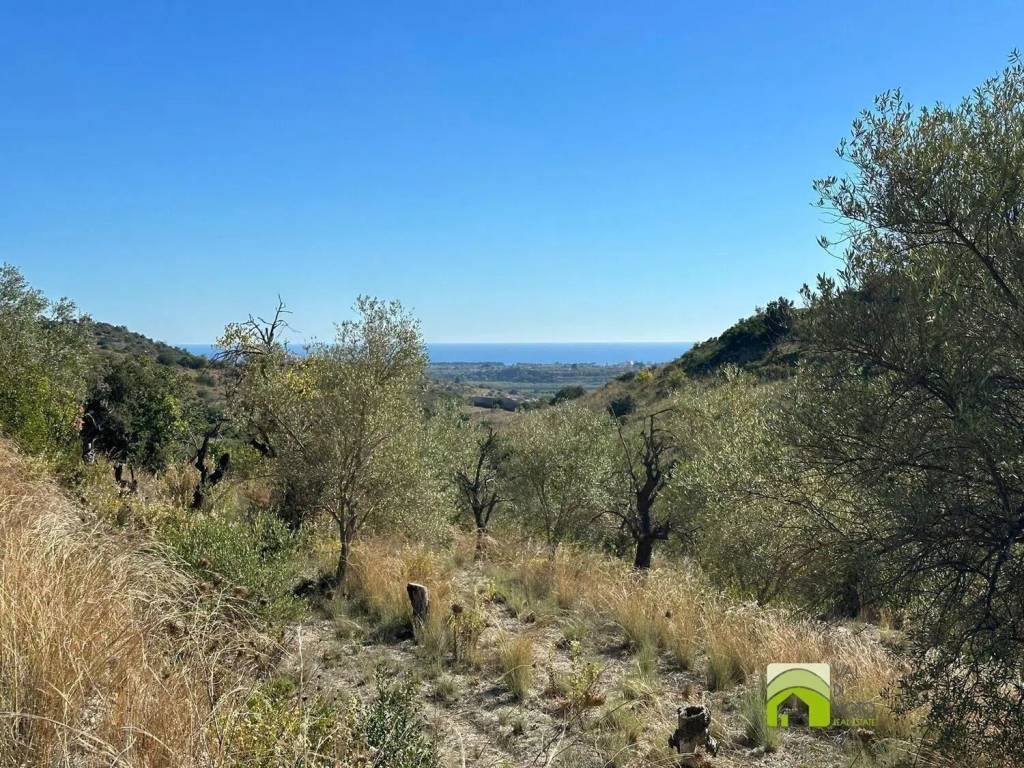 Terreno a Avola in Strada Provinciale Avola Bochini Noto - Foto 4