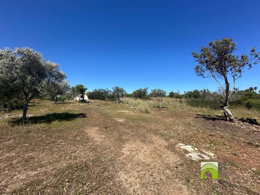 Terreno a Noto in Contrada Vendicari S.N.C. - Foto 5