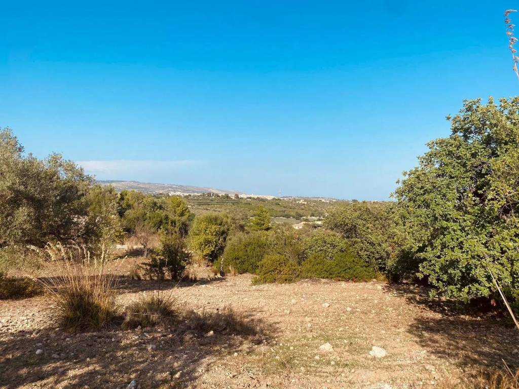 Terreno a Noto - Foto 4
