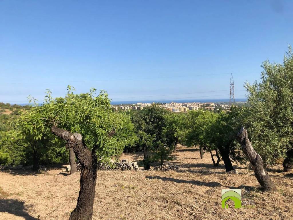 Terreno a Noto in Contrada Lenza Vacche S.N.C. - Foto 4