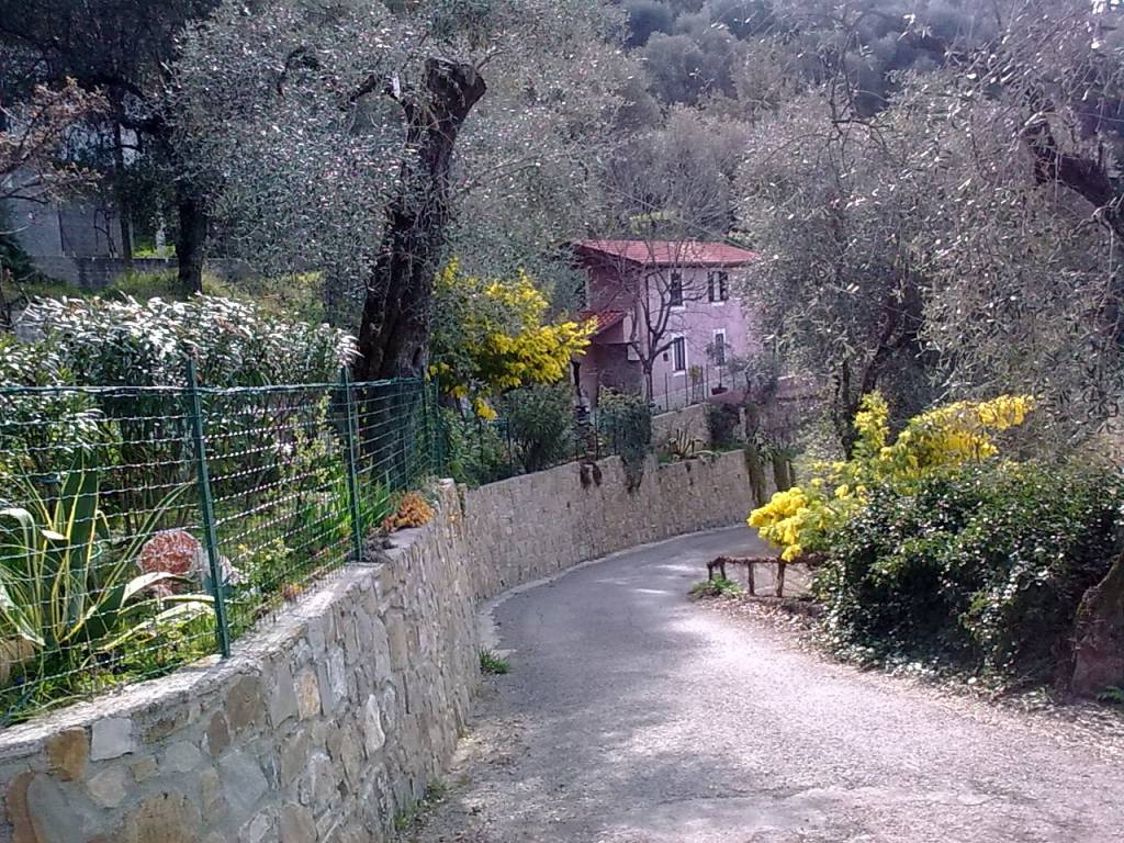 Villa a Camporosso in Località Brunetti, 1 - Foto 3
