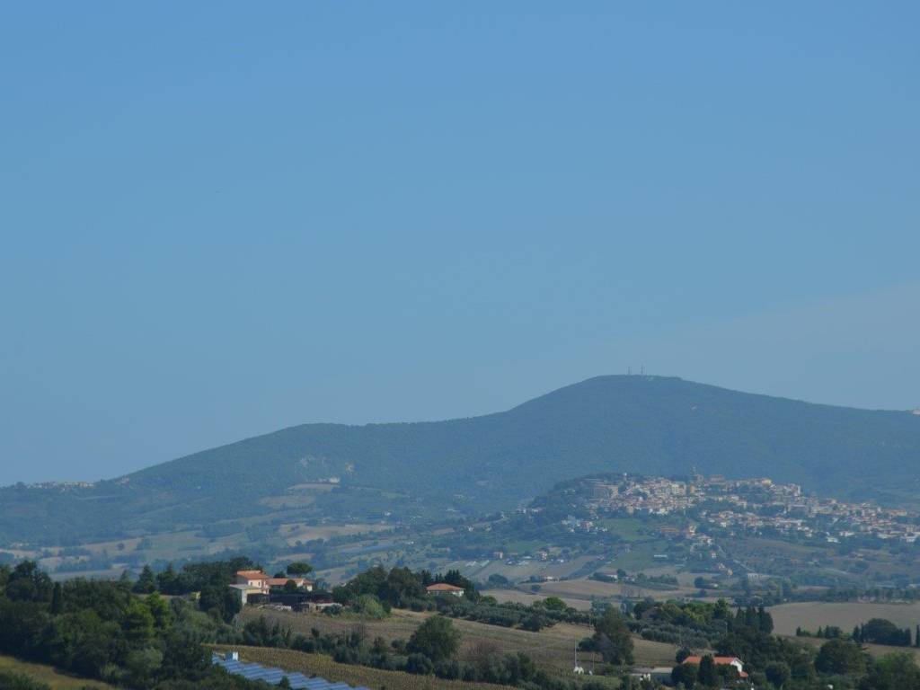 Rustico / casale a Osimo - Foto 5
