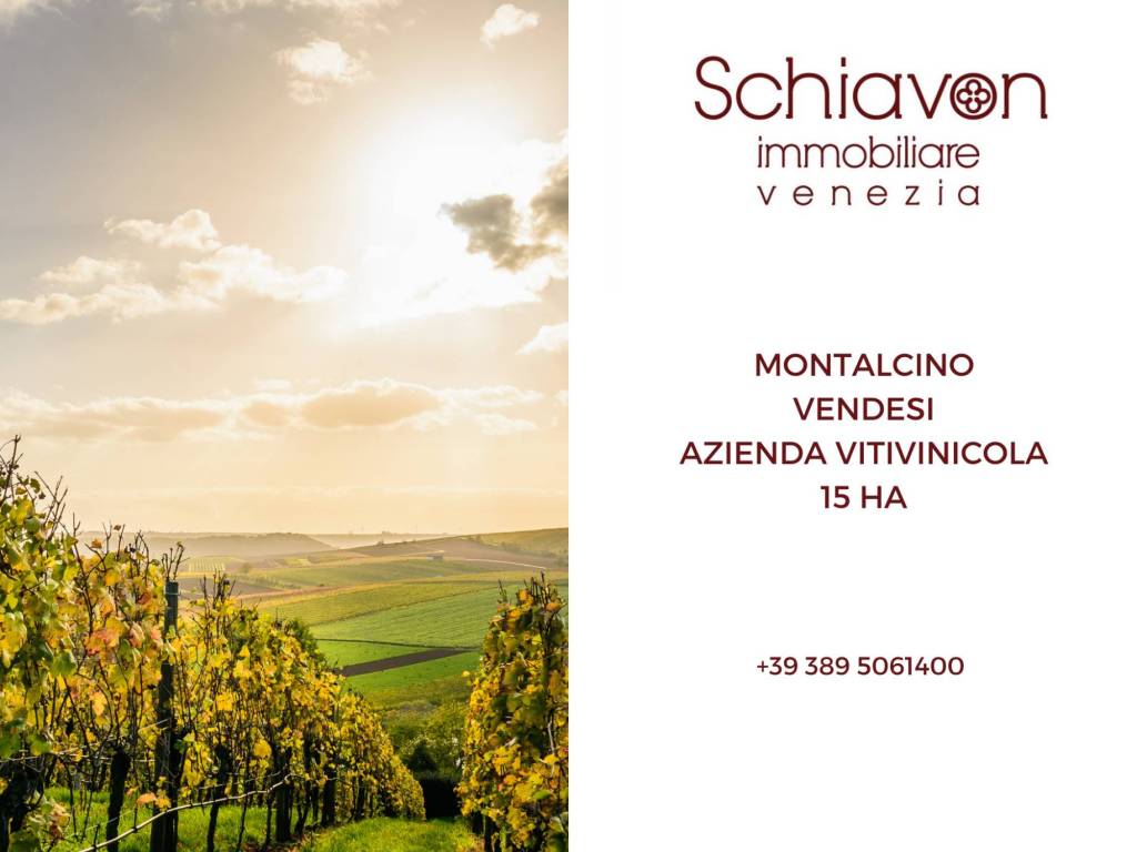 Terreno a Montalcino - Foto 1