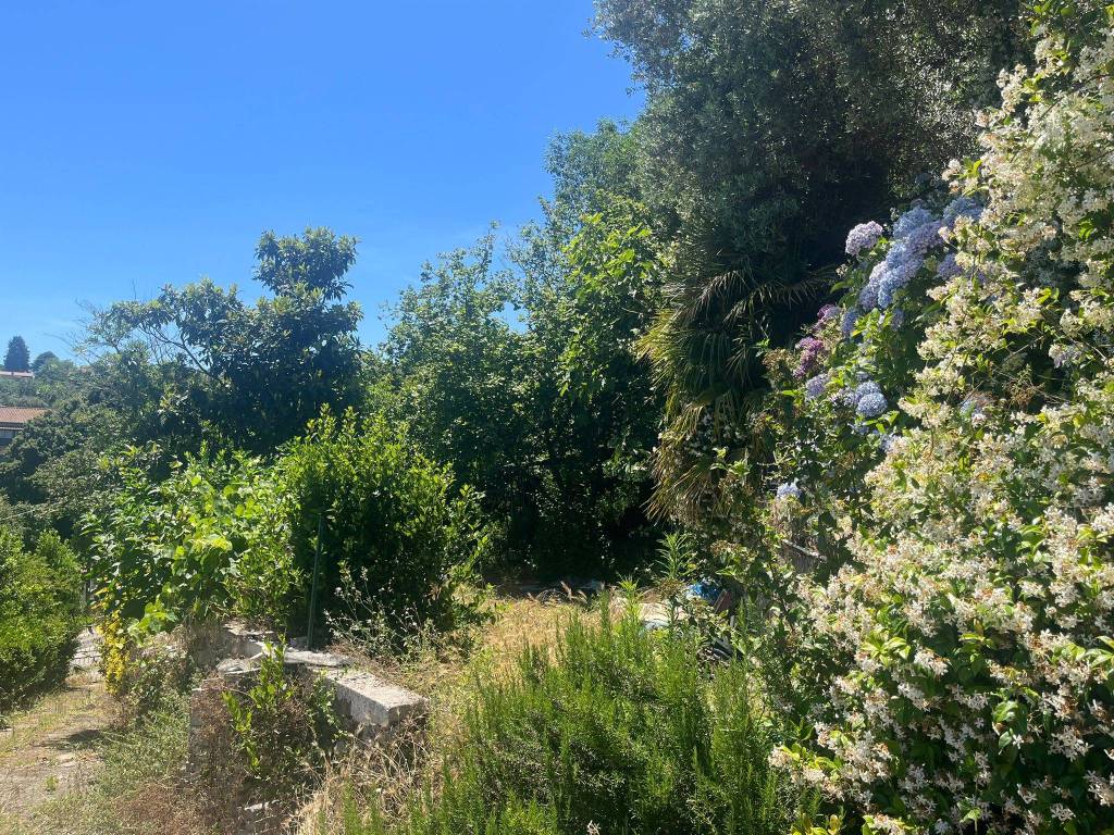 Villa a Palestrina - Foto 4