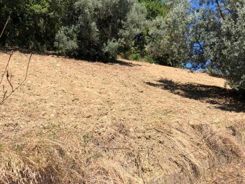 Terreno a Agropoli in SS18 - Foto 5