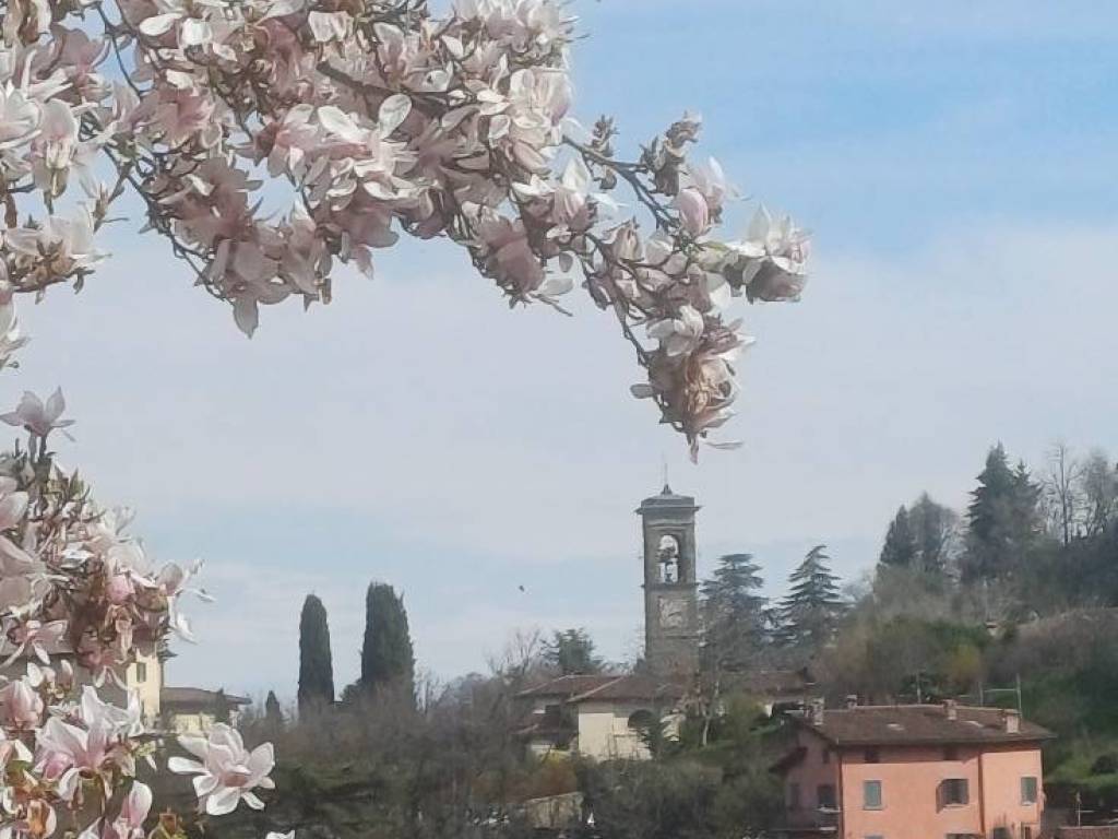 Appartamento a Bergamo in Via Francesco Nullo, 29 - Foto 4