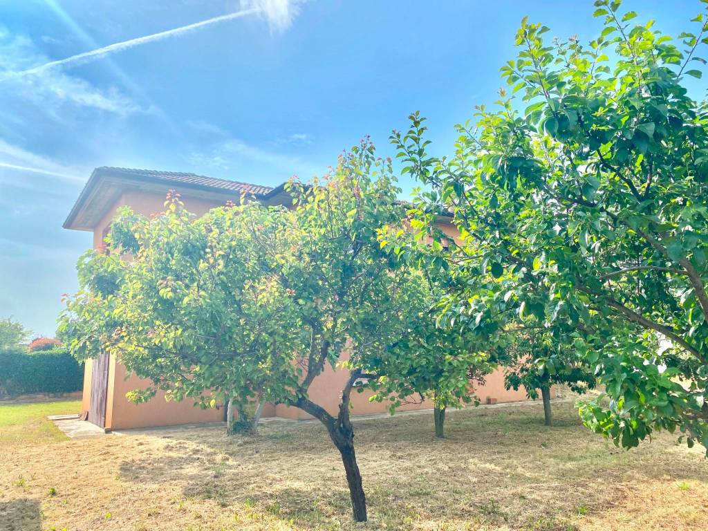 Villa a Santo stefano lodigiano - Foto 3