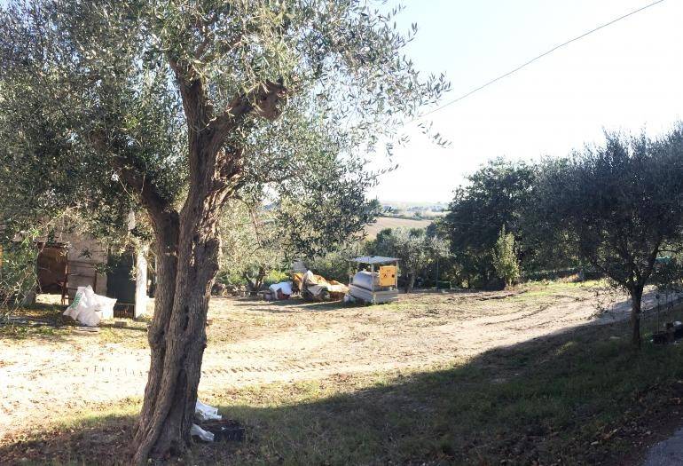 Rustico / casale a Senigallia - Foto 5