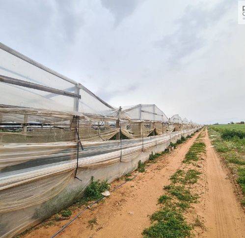 Terreno a Vittoria in Strada Vicinale 58 - Foto 4