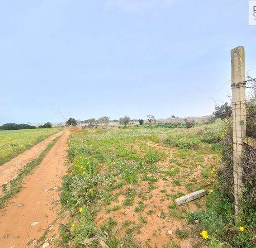 Terreno a Vittoria in Strada Vicinale 58 - Foto 5