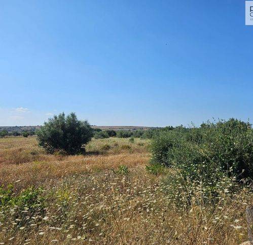 Terreno a Vittoria in Bastonaca - Foto 2