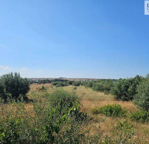 Terreno a Vittoria in Bastonaca - Foto 3