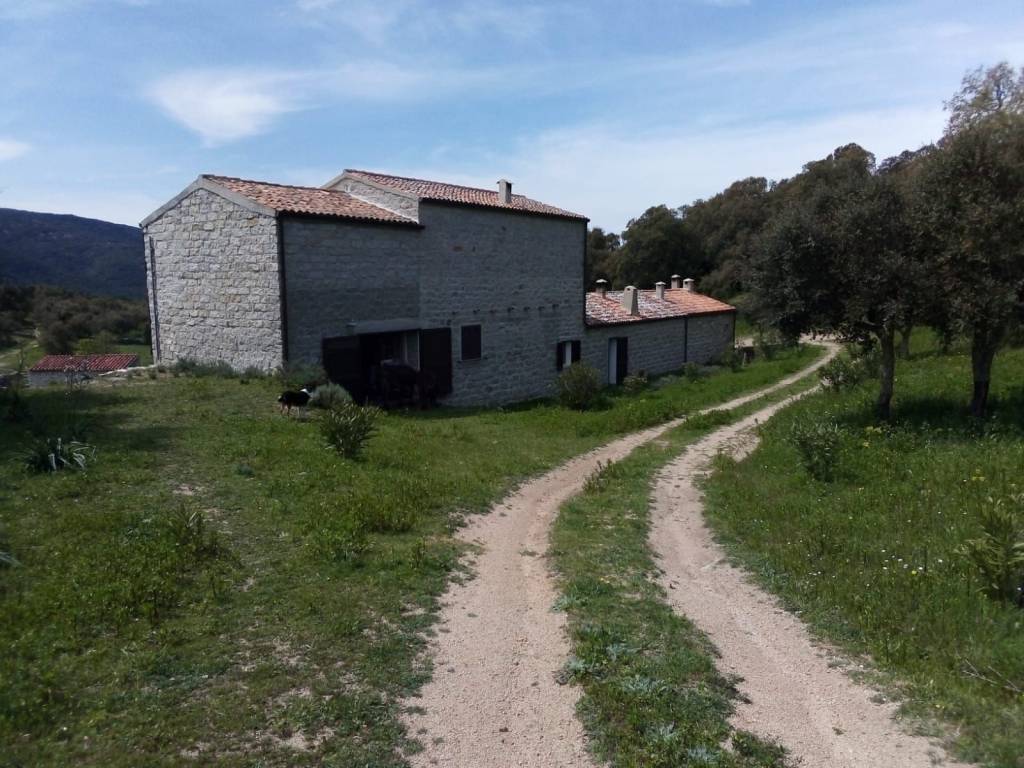 Villa a Tempio pausania in Strada Statale del Lago del Coghinas - Foto 5