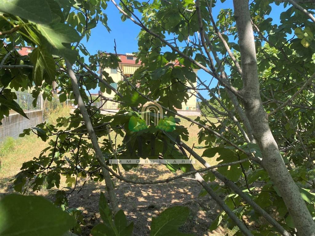Terreno a Martinsicuro in Via Francesco Baracca - Foto 4