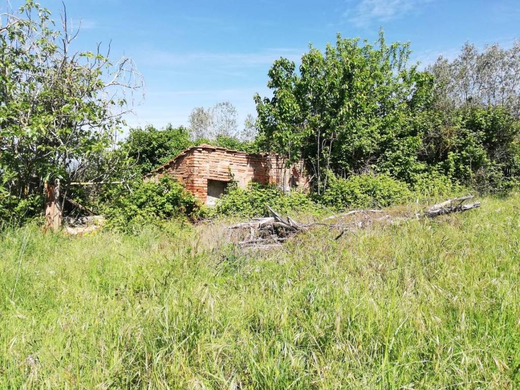Rustico / casale a Città della pieve - Foto 2