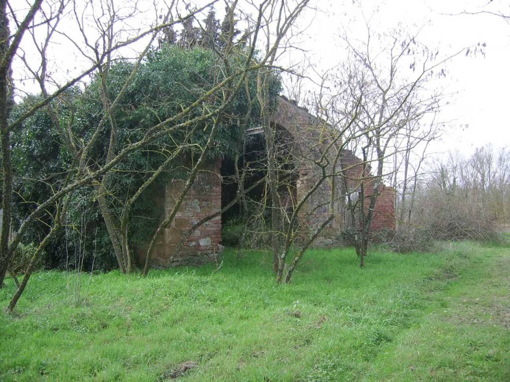 Rustico / casale a Città della pieve - Foto 4