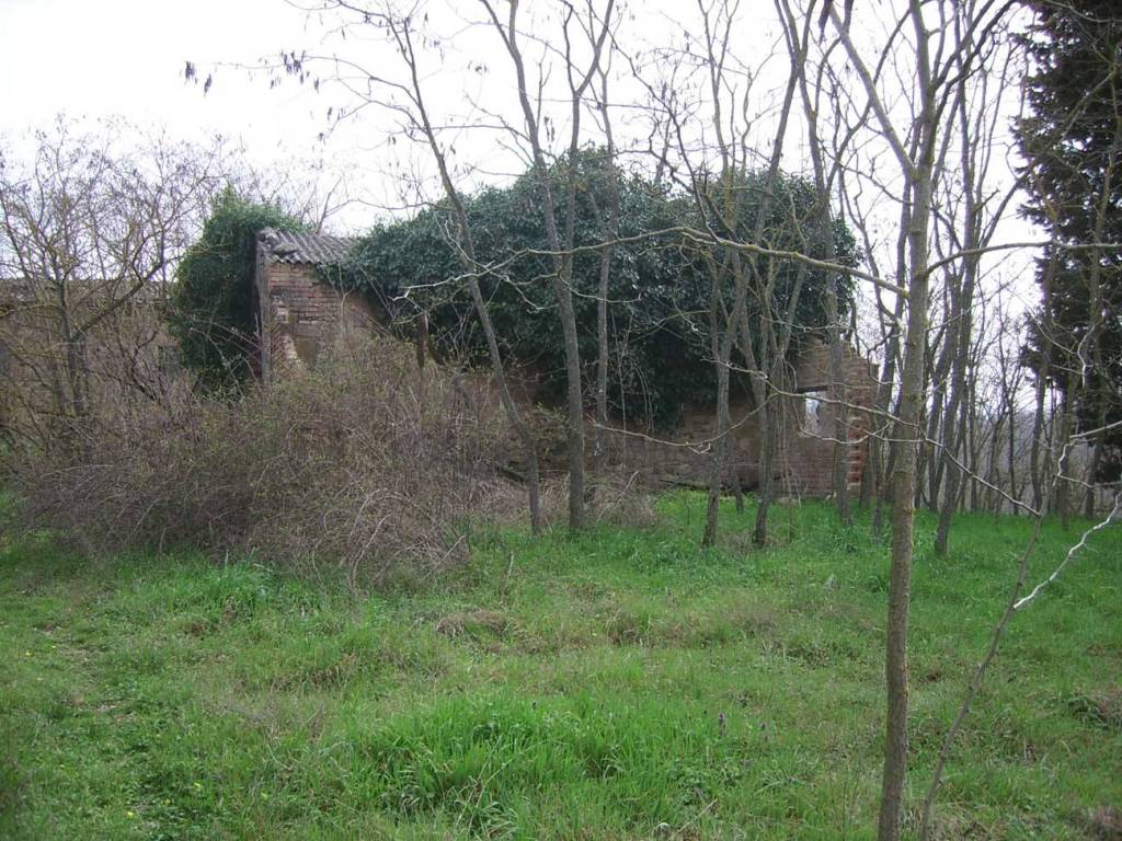 Rustico / casale a Città della pieve - Foto 5