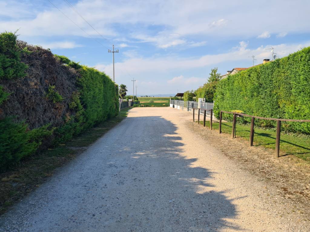 Terreno a Montagnana in VIA LOGNOLO - Foto 5