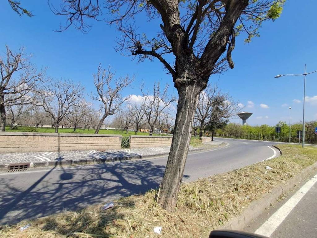 Terreno a Brusciano in via guido de ruggiero - Foto 3