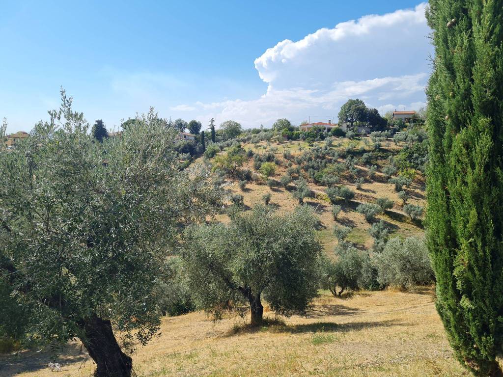 Terreno a Fara in sabina in Via Grotte di Torre - Foto 5